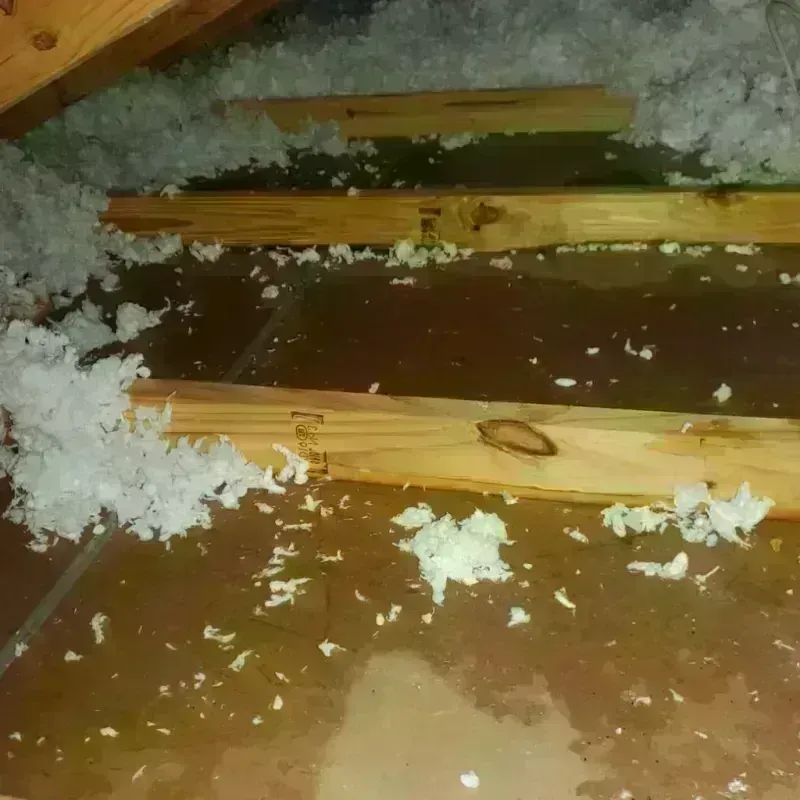 Attic Water Damage in Albuquerque, NM