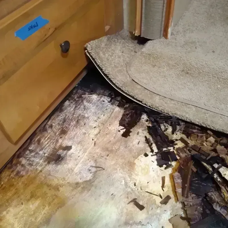 Wood Floor Water Damage in Albuquerque, NM